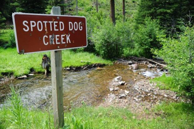 Meet the Spotted Dog: Wildlife management area brims with life, challenges