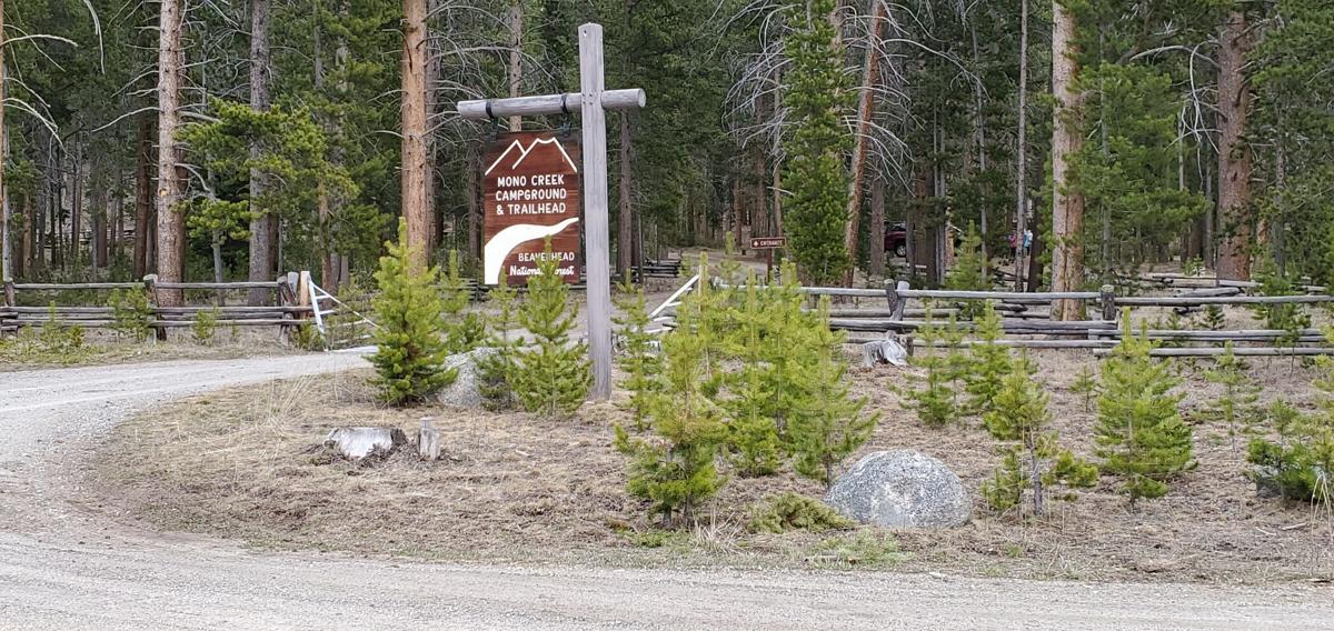 Escape to Serenity: Your Guide to Mono Creek Campground, Northern California