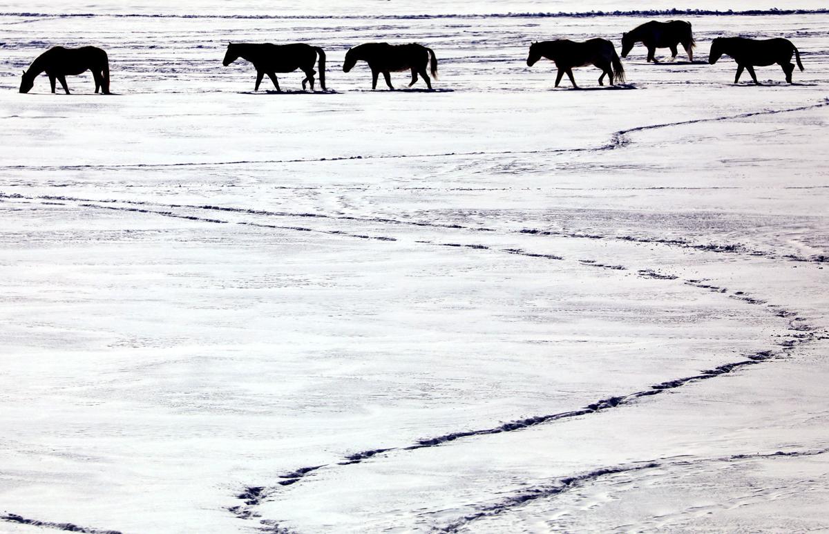 Winter Is Not Quite Over Yet Winter Weather Advisory For Butte