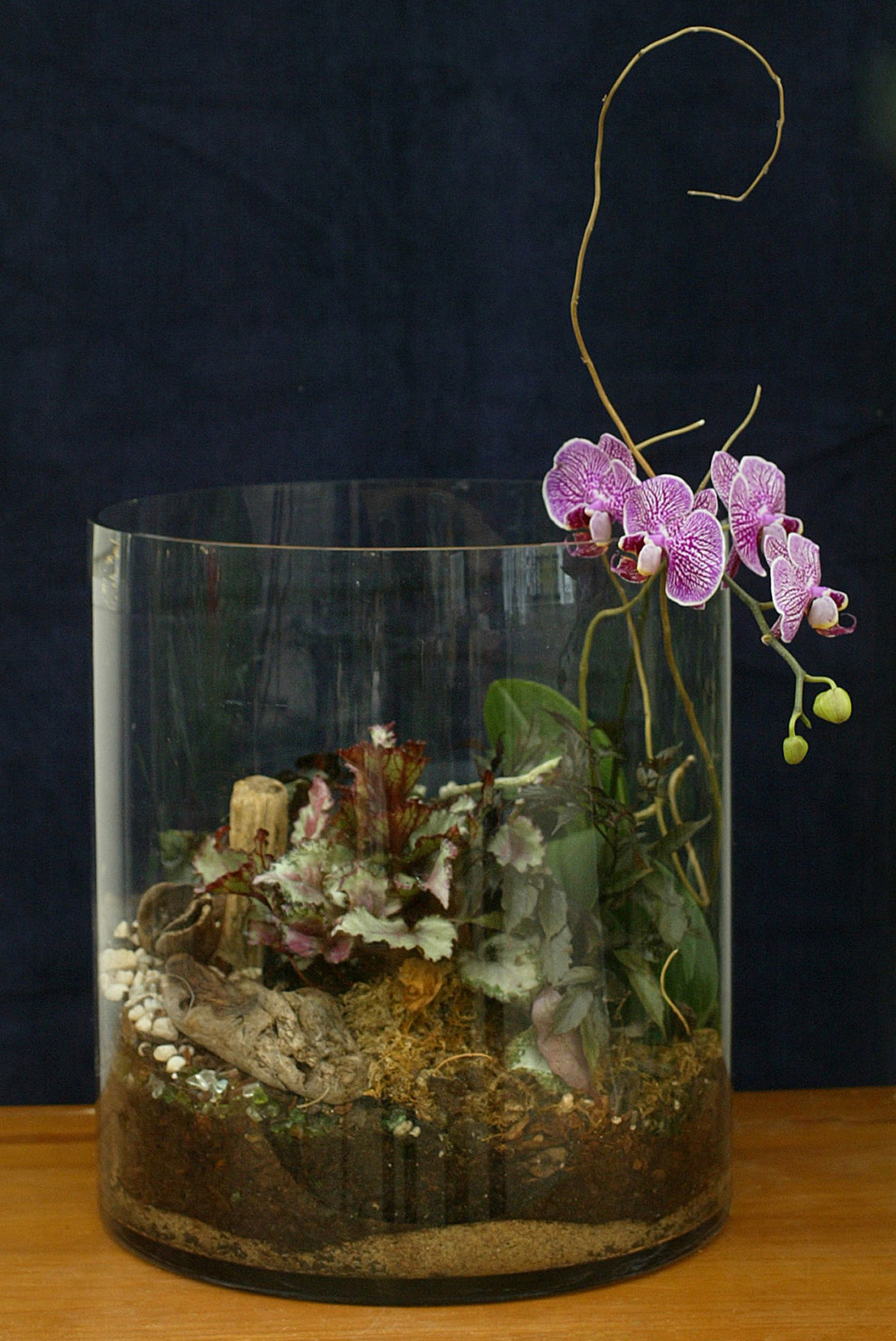 SEE PHOTOS: Keep growing season going with terrariums | Local
