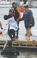 Polar Plunge 2024 News