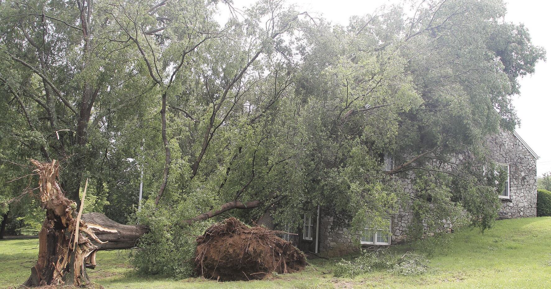 Straight line winds leave damage across county - Vimarsana News