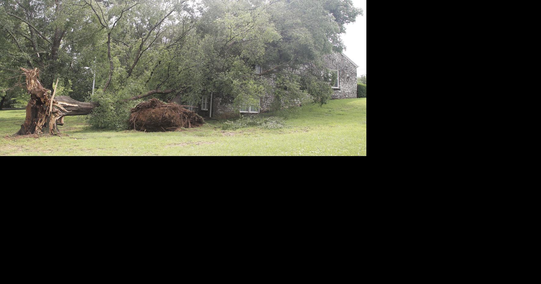 Straight line winds leave damage across county | News | murrayledger.com