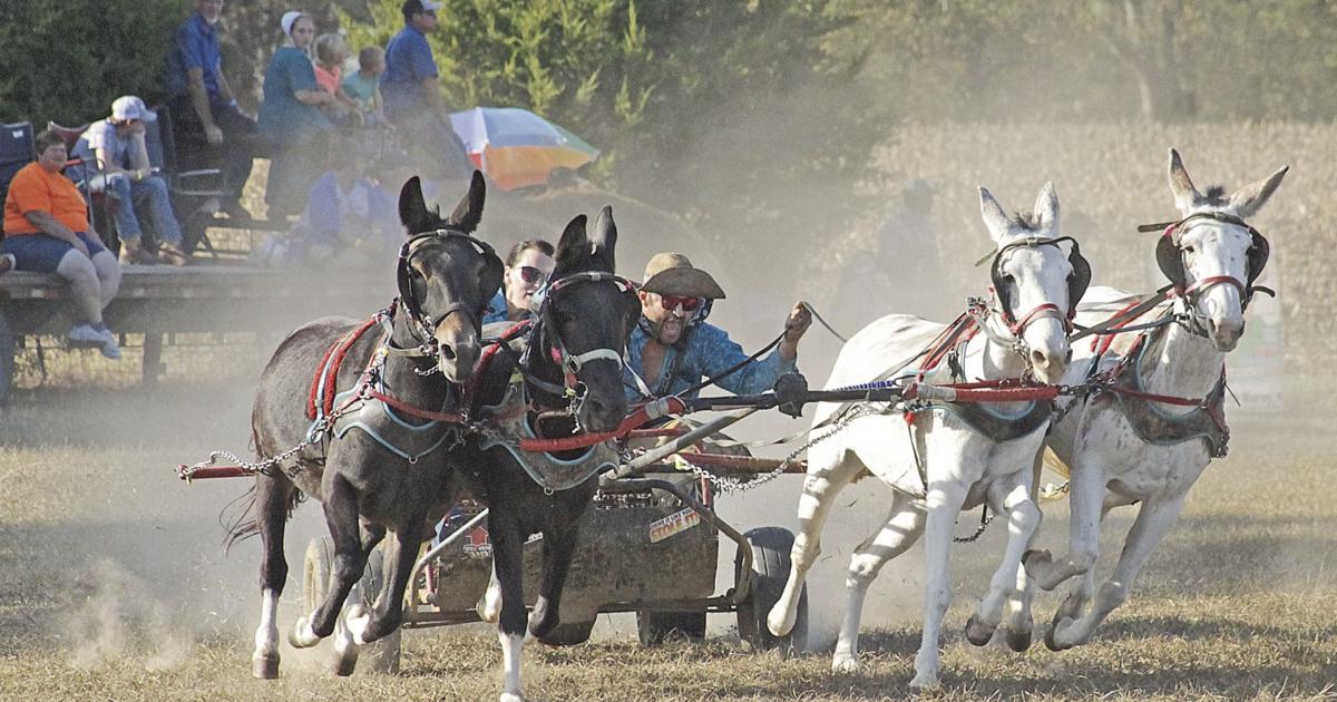 Wagon Racer Chuck wagon racers,spectators flock to Cherry Corner | Local News ...
