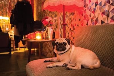 New Year S Resolutions German Couch Potatoes Say Forget It Ap