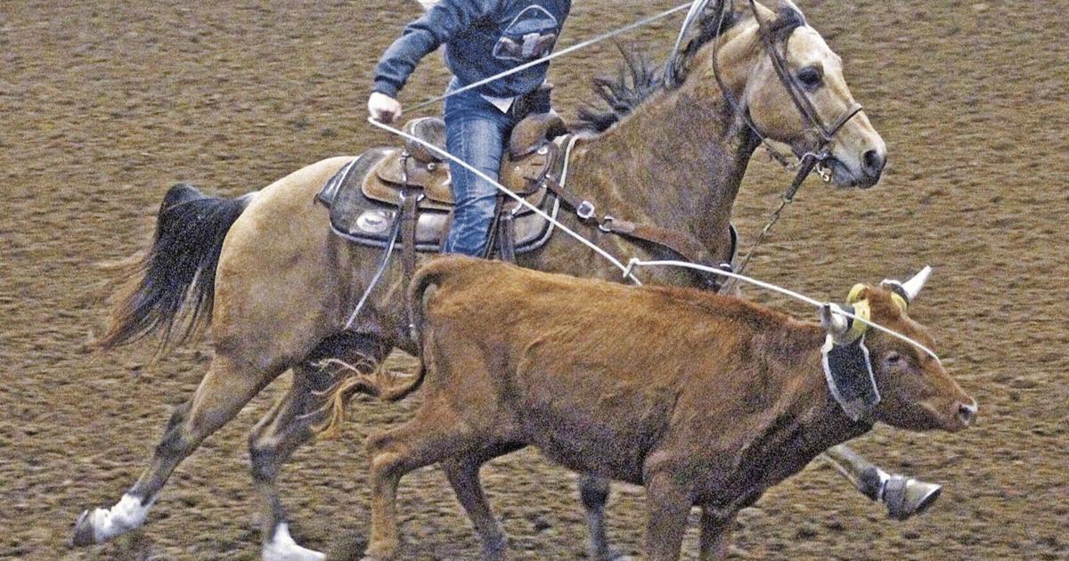 Murray State Rodeo Racer Round-Up enters 48th year, starting tonight | Murray State ...