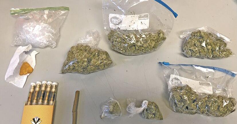 Traffic stop leads to felony drug trafficking charge | Local News ...