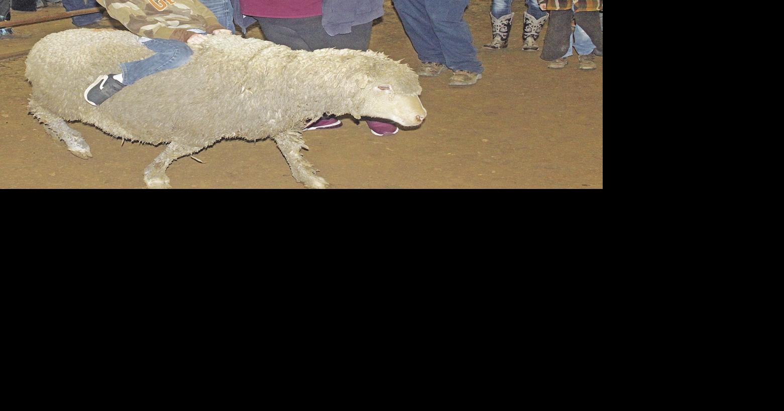 Mutton Busting at Bull Blowout Local News