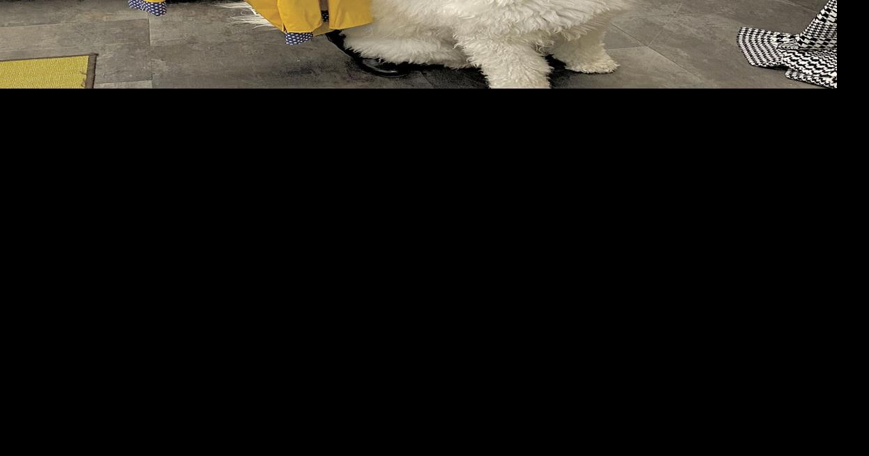 Futrell built her wholesale business with talent and determination Business