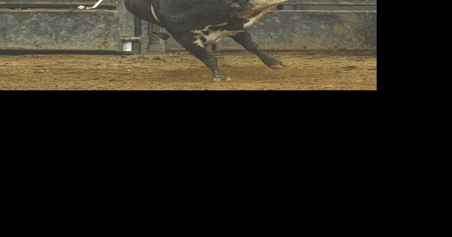Bull Blowout returns to Cherry Expo Center this weekend News