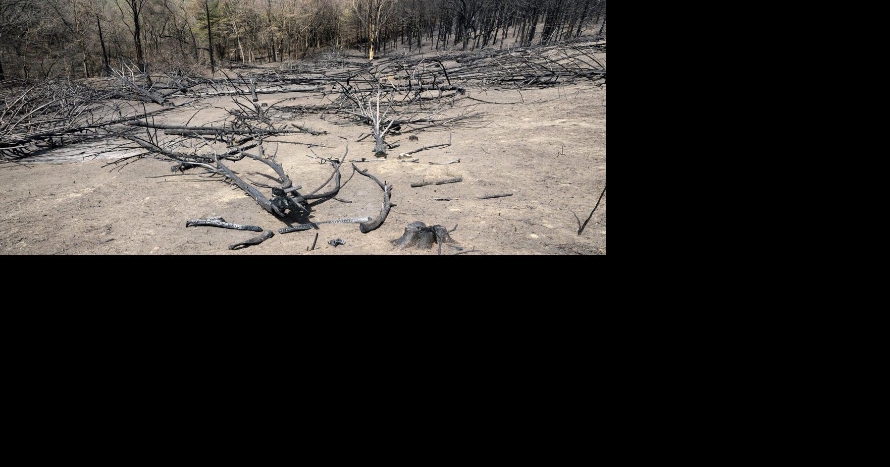 Fire scorched nearly 2,300 acres of Loess Hills State Forest in Monona Cty