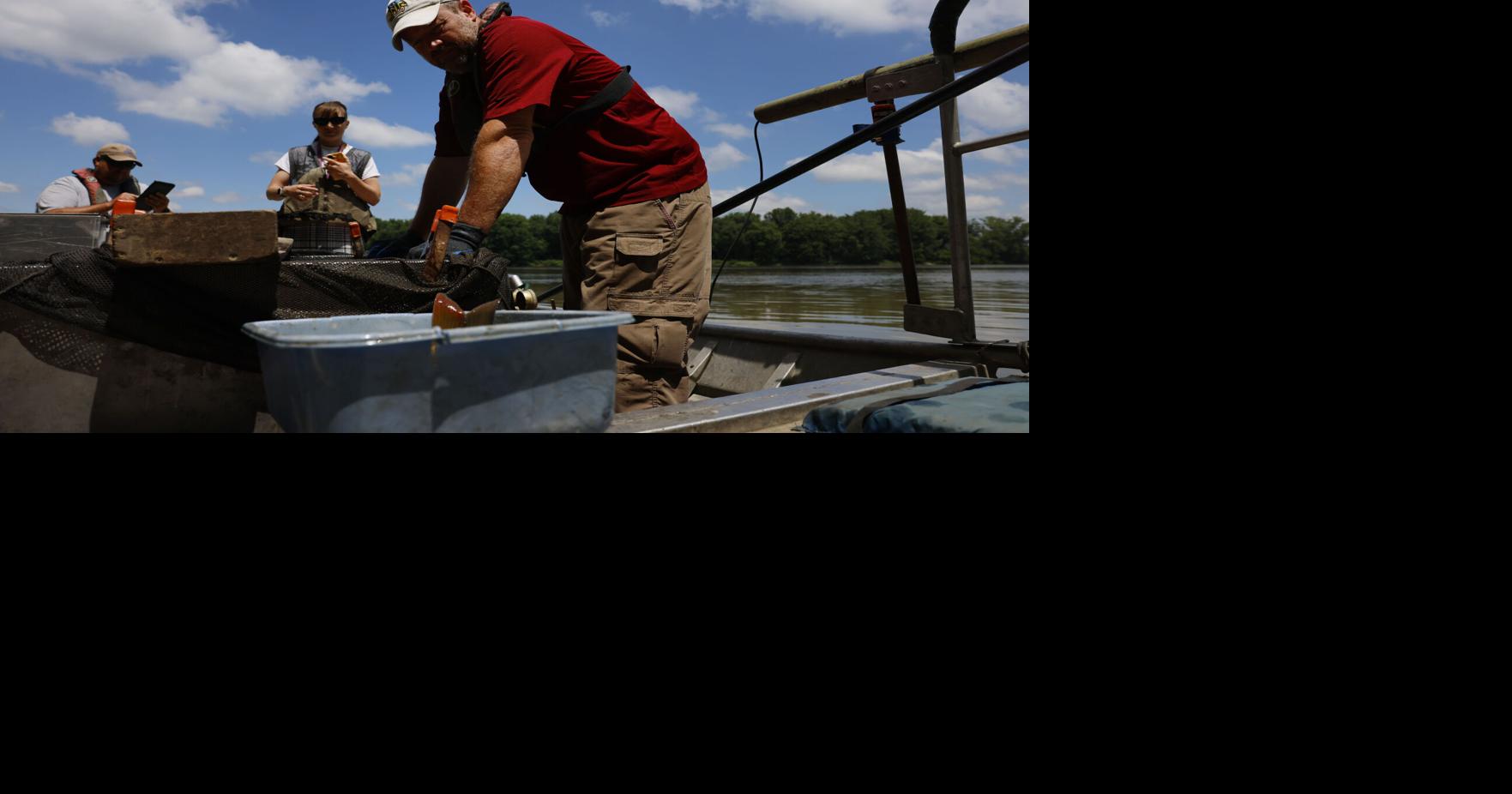 Gretchen at Work: Researching fish at Fairport Fish Hatchery
