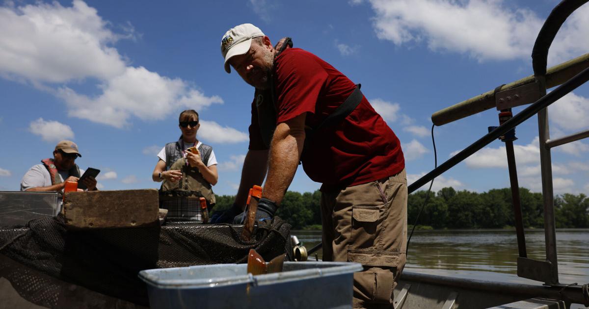 Gretchen at Work: Researching fish at Fairport Fish Hatchery