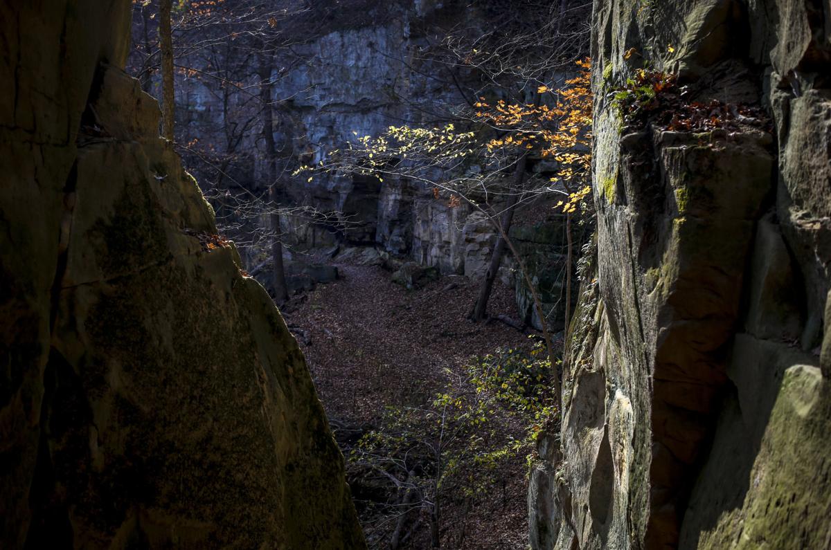 Wildcat Den State Park