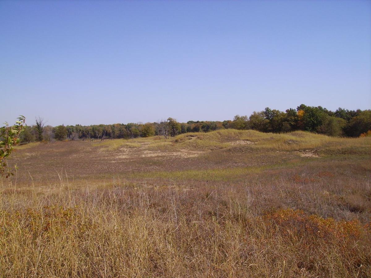 Rare sand prairie habitat to open briefly to public