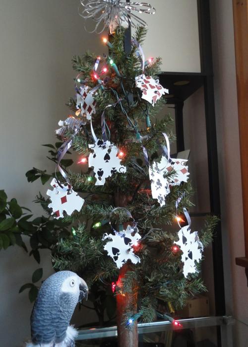 Muscatine Plans Live Christmas Tree Collection Local