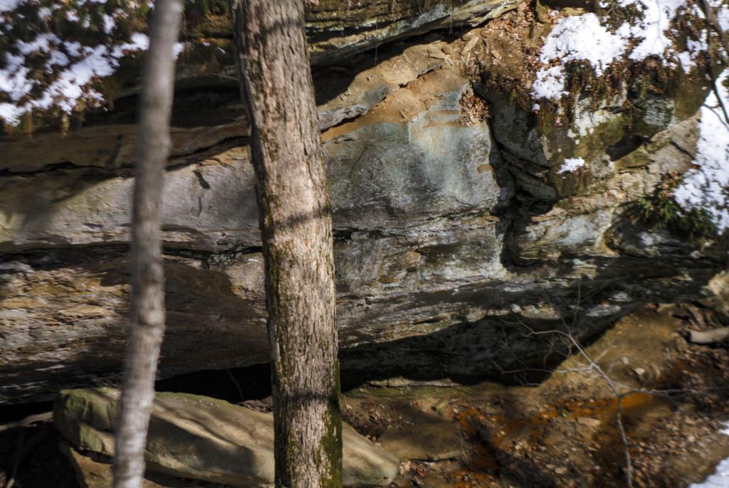 Wildcat Den State Park To Offer First Day Hike Muscatine Muscatinejournal Com