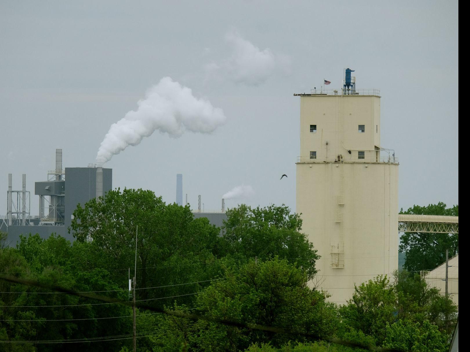 judge rules against attorney payment in grain processing