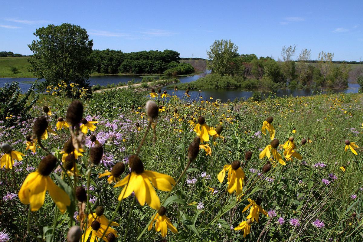 PHOTOS Lost Grove Lake