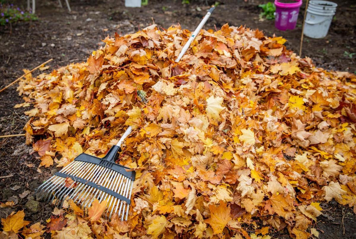 It's spring leaf pickup time in Muscatine