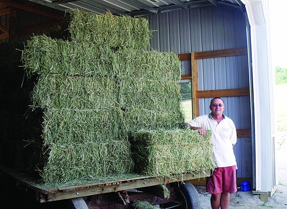 Hay is for horses, and so is alfalfa Muscatine couple cashing in on