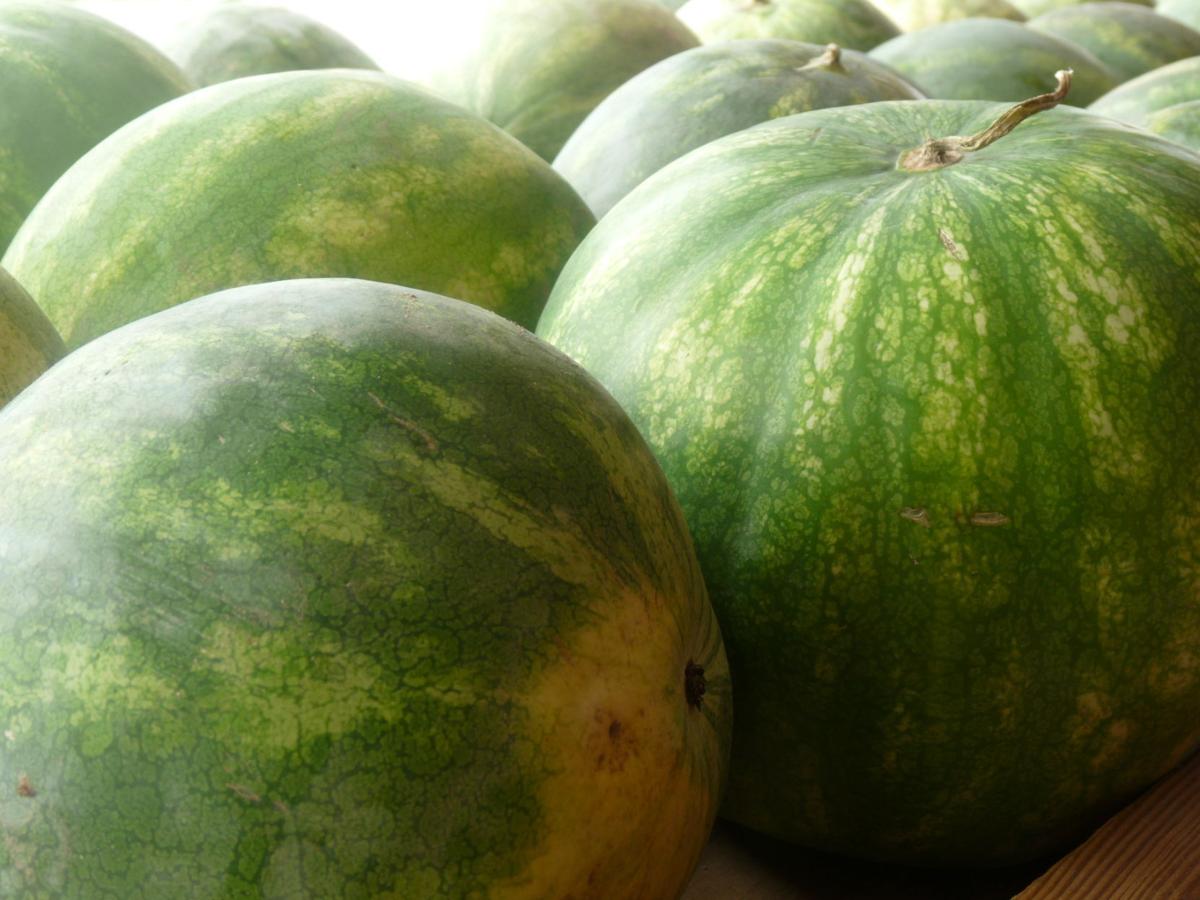 From melons to mums, seasons change at Mairet's Local