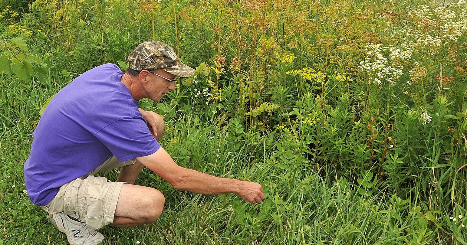 Muscatine County Conservation Board employees to retire after 35 years - Vimarsana News