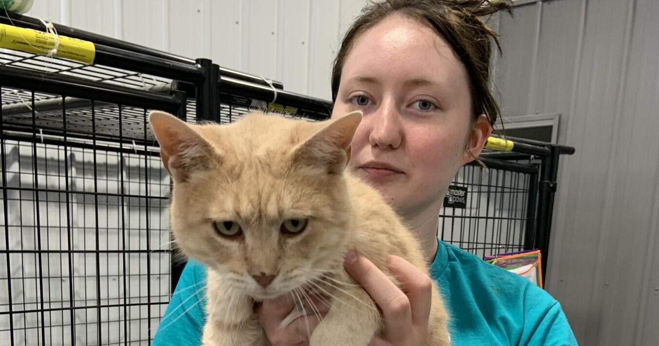 It Takes a Village receives $30,000 in grants for training, pet care pantry, and more - Vimarsana News