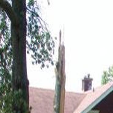Use Of Weather Siren Is Negotiable Local Muscatinejournal Com