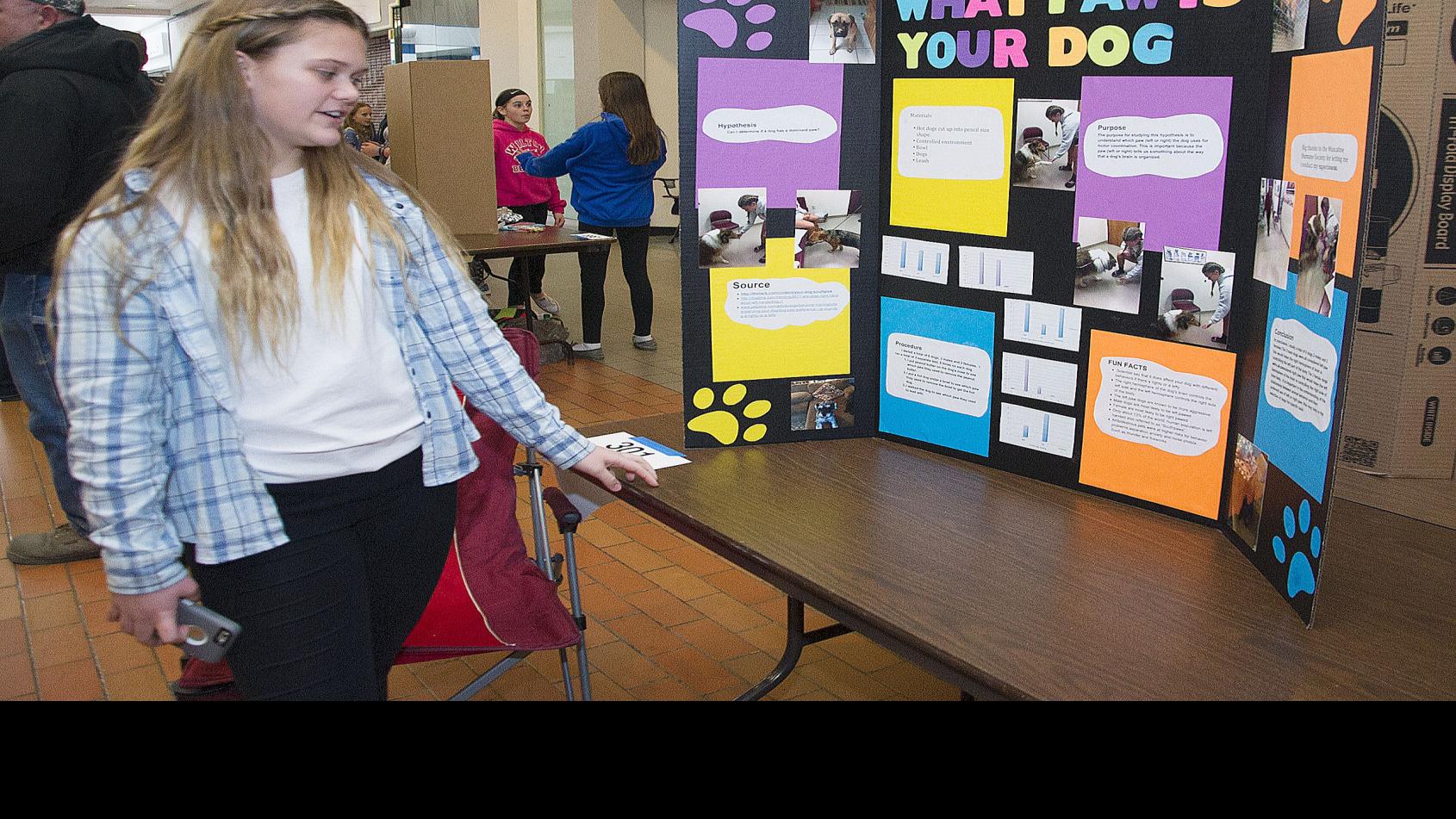 Students at engineering and science fair showcase diverse ...