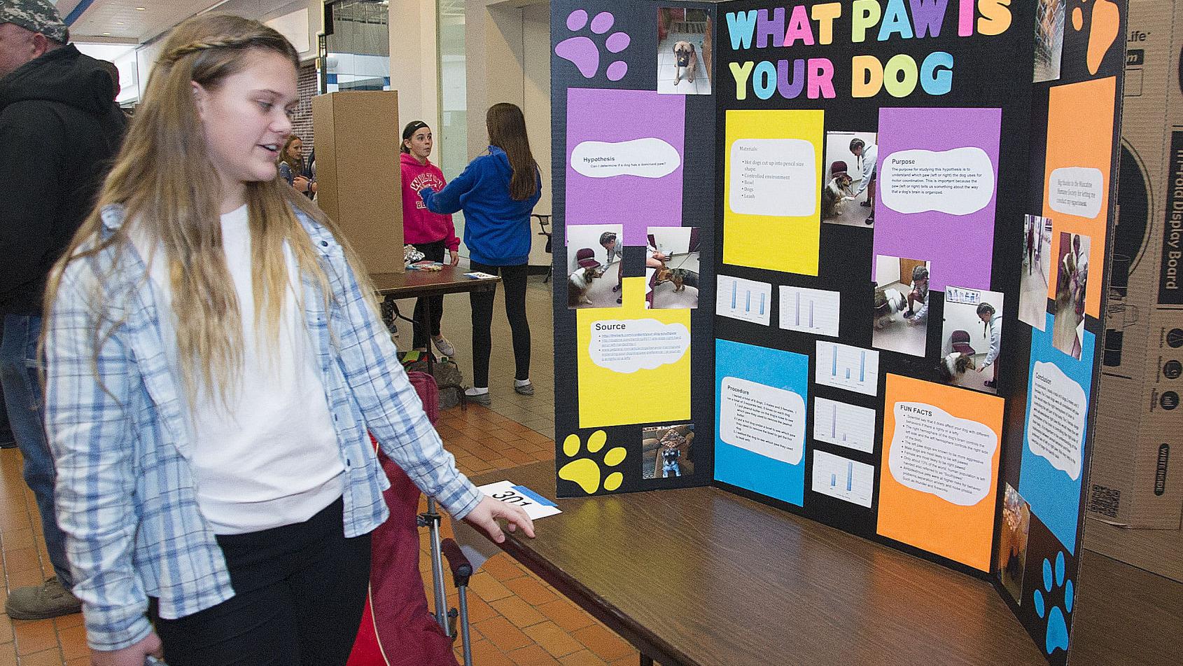 Students at engineering and science fair showcase diverse ...