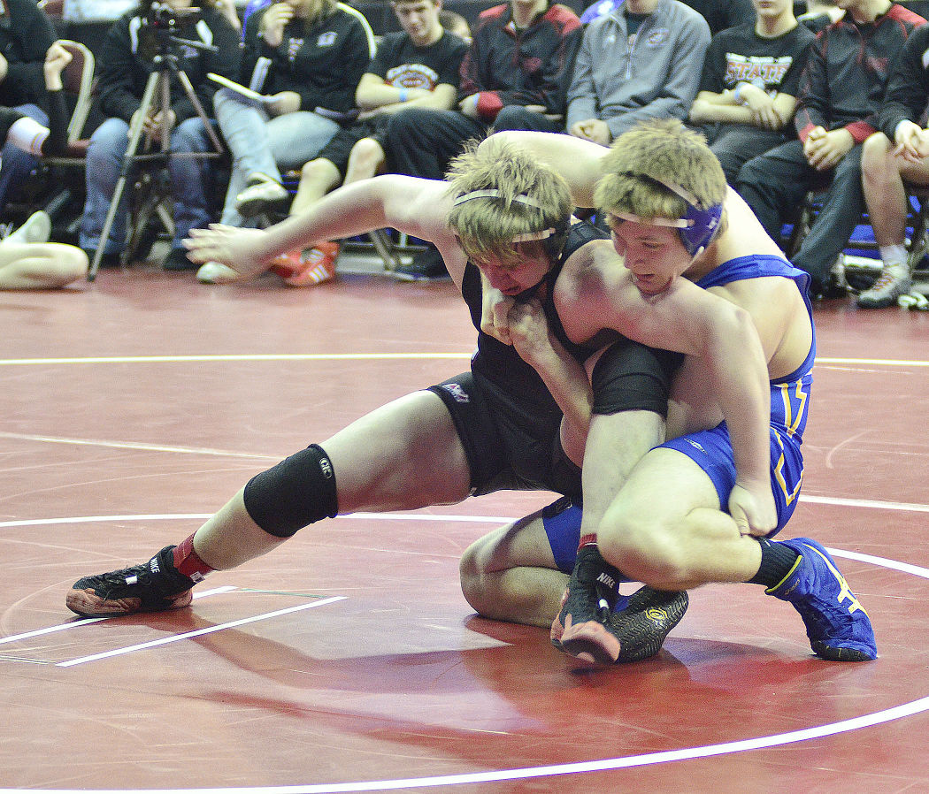 2014 Iowa high school state wrestling tournament Sports