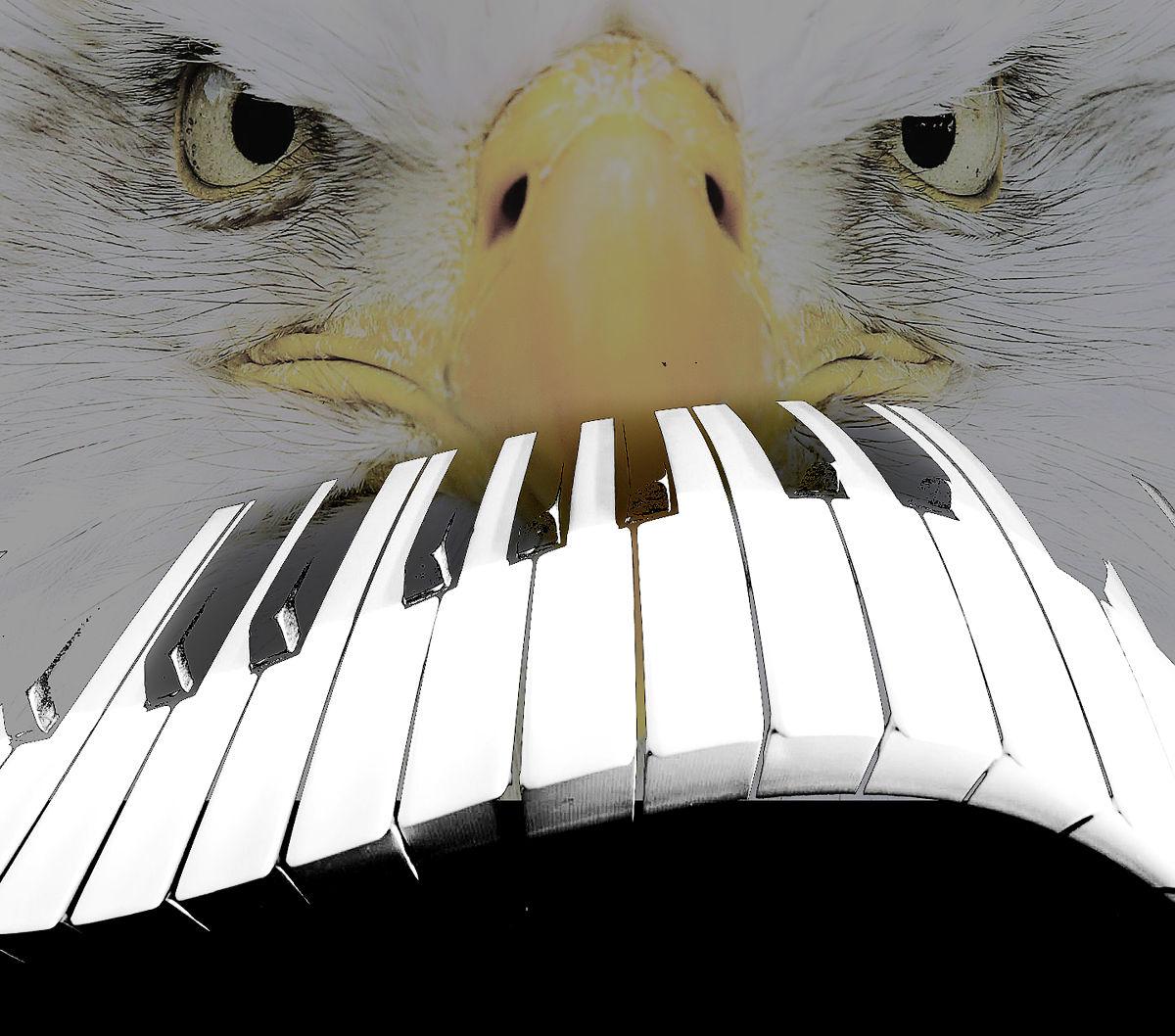 Eagles and Ivories The birds and the B's