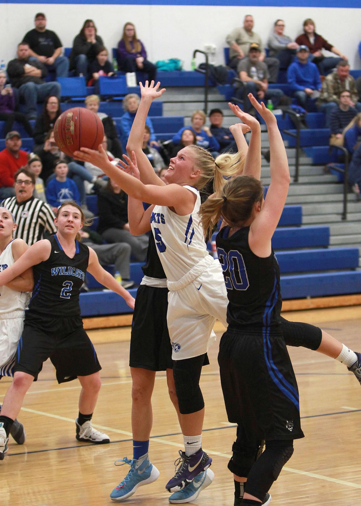 West Liberty Sweeps Columbus Basketball High School Sports