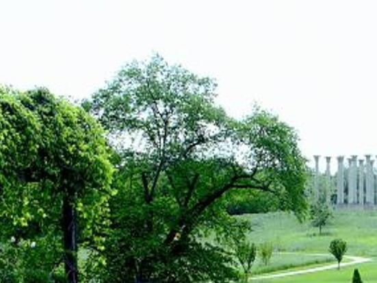 U.S. National Arboretum