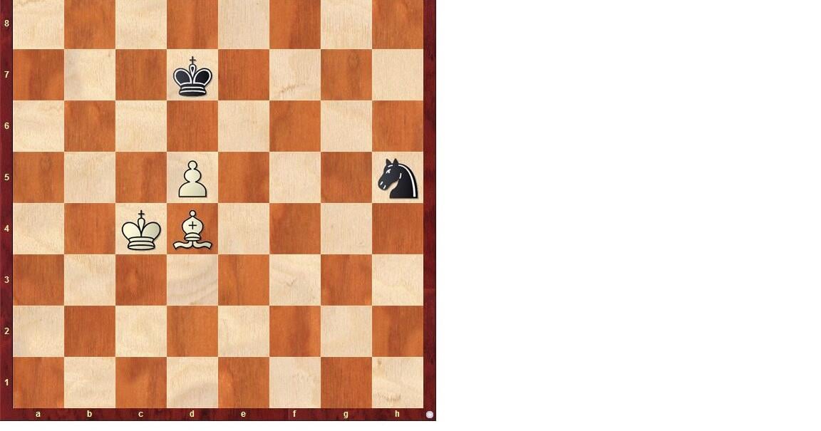 CHESS CORNER: Bishops are dolphins of the chessboard