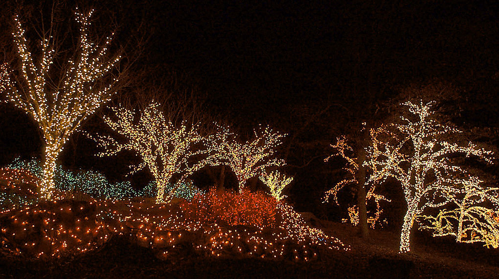 Honor Heights Park Christmas Lights 2022 Honor Heights Park Transforms Into Holiday Wonderland | |  Muskogeephoenix.com