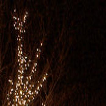 Honor Heights Park Christmas Lights 2022 Honor Heights Park Transforms Into Holiday Wonderland | |  Muskogeephoenix.com