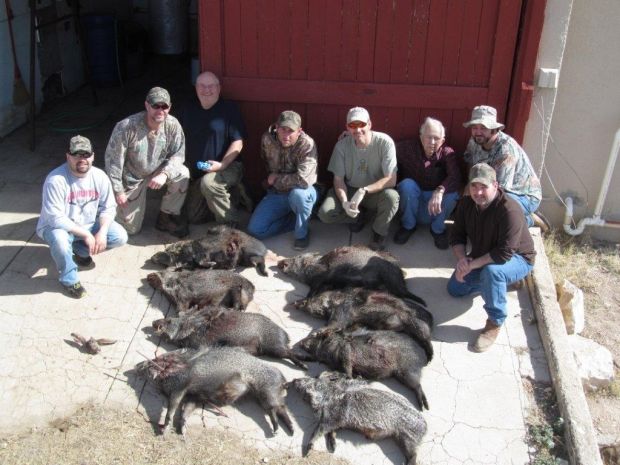 Bowhunter buddies harvest Texas javelina Sports