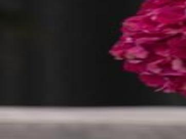 Gardening With Micki Hydrangeas Make Great Bouquets Lifestyles Muskogeephoenix Com