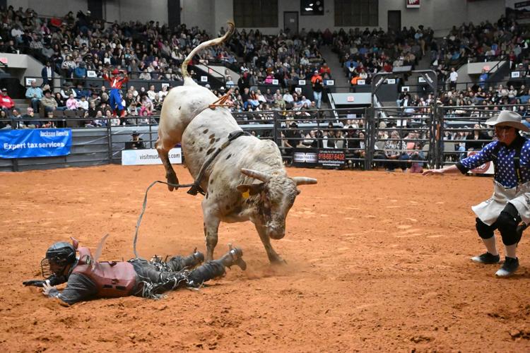 Close calculation makes naming bull riding champion difficult | News ...