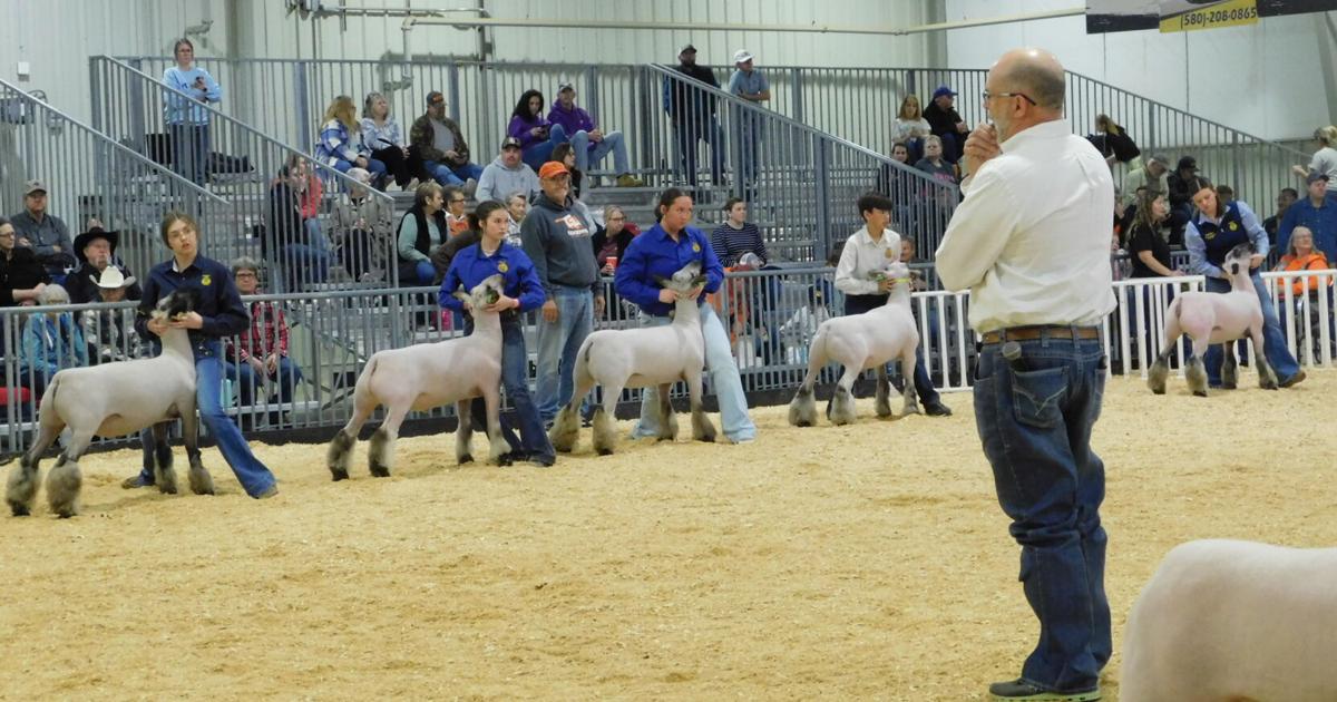 Sheep Show Stack Sheep Showing trends change over the years | | muskogeephoenix.com