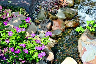 Be A Gardener In Training Lifestyles Muskogeephoenix Com