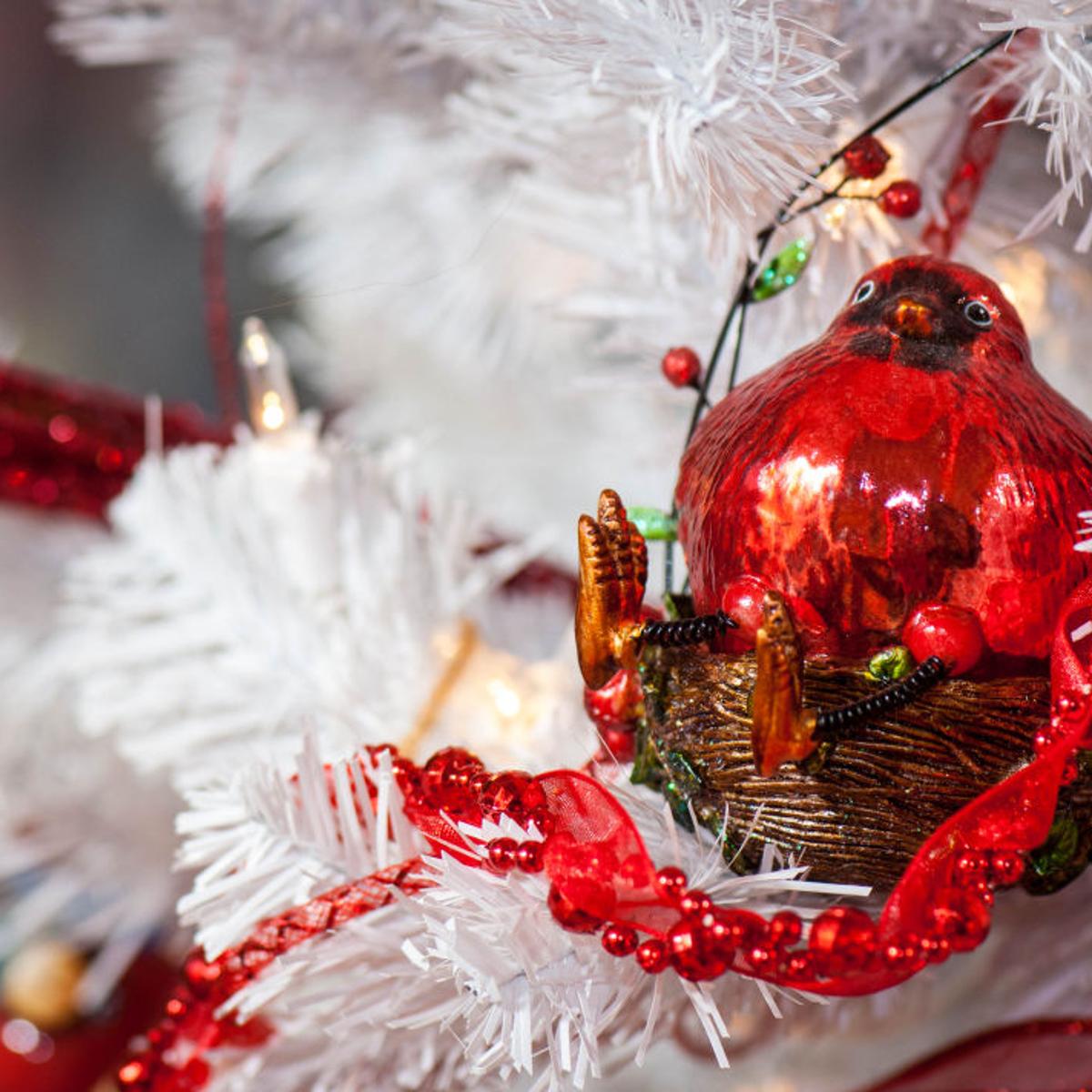 Red Birds Bring Happiness To Holiday Home Community