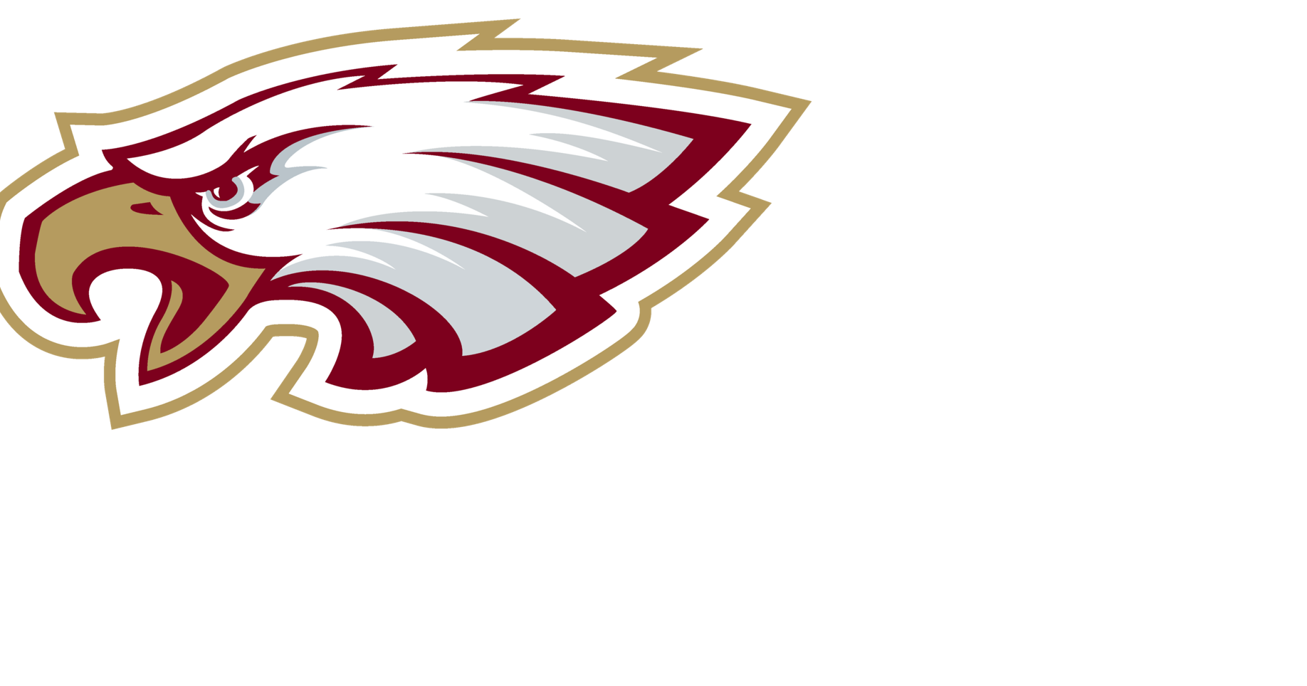 SOFTBALL: LaBounty flirts with no-hitter as Warner advances to state ...