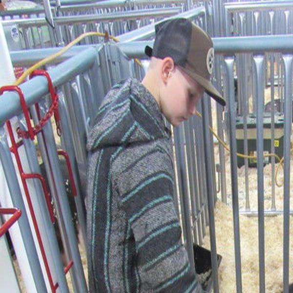 Hogs lead off Muskogee Regional Junior Livestock Show | News |  muskogeephoenix.com
