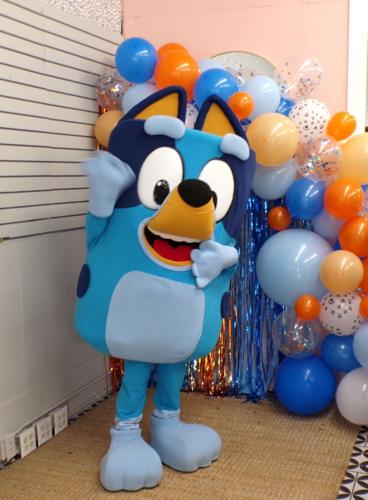 Bluey muskogeephoenix com