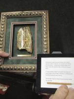 Best of the best take part in Master Artist Show