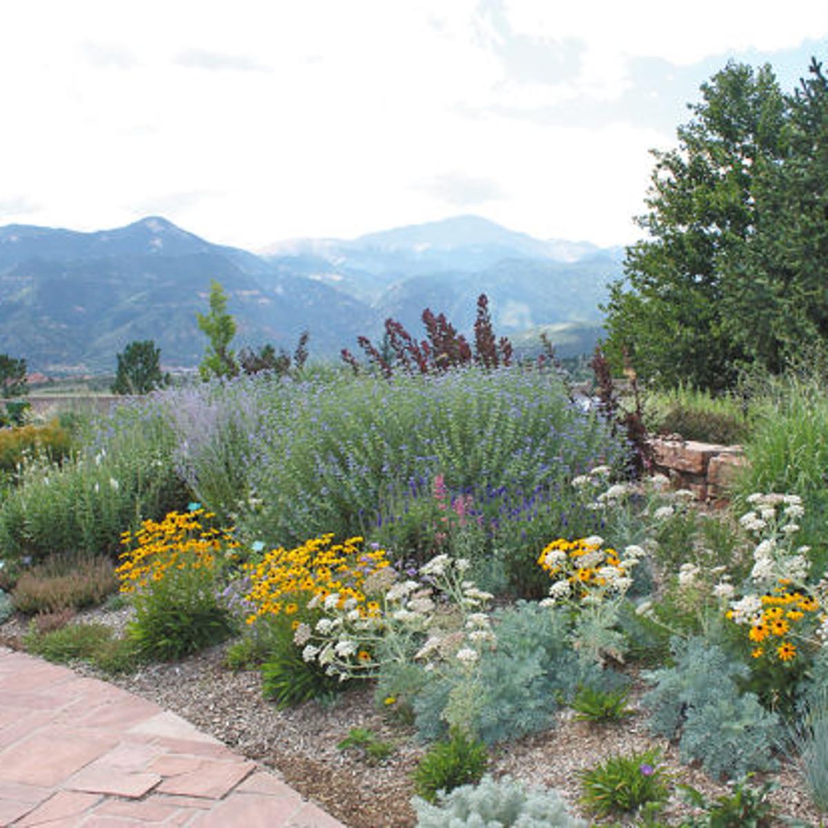 Xeriscape means less watering | Lifestyles | muskogeephoenix.com