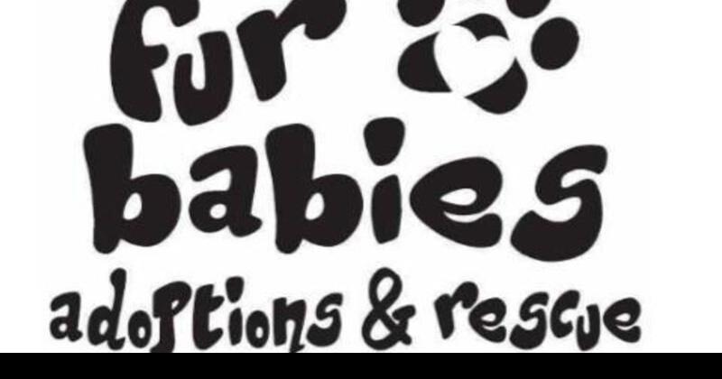 Fur Babies plans events News